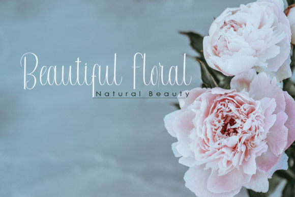 Radetta Font PNG with transparent background - Preview 6