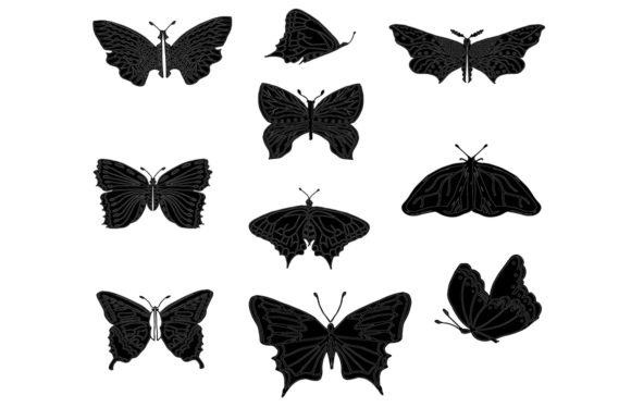 Set of Butterflies Graphic Illustrations By kakva