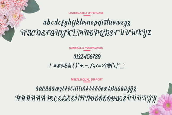 Andhyta Font - Preview 2