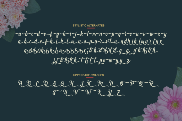 Andhyta Font - Preview 3