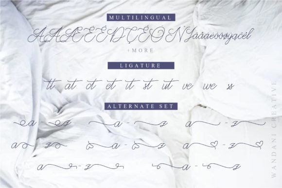 Abbassy Script Font - Preview 6