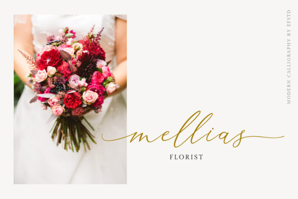 Aerotis Font - Preview 6