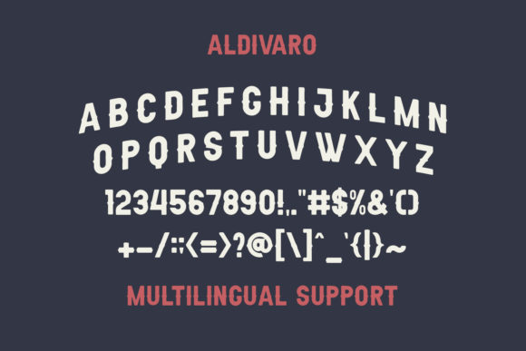 Aldivaro Family Font - Preview 6