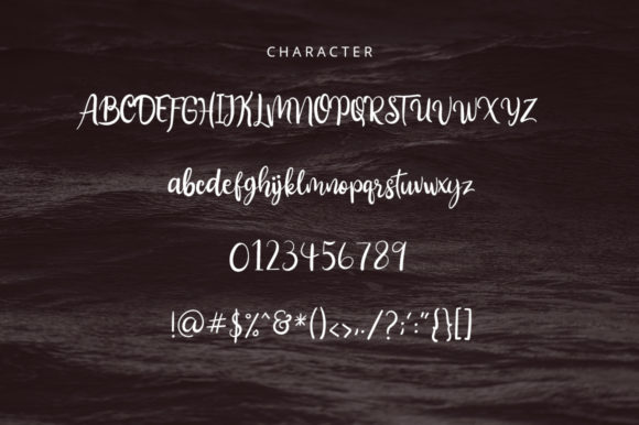 Aliandra Font - Preview 5