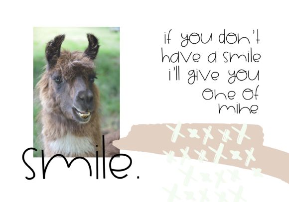 Alpaca Font - Preview 1