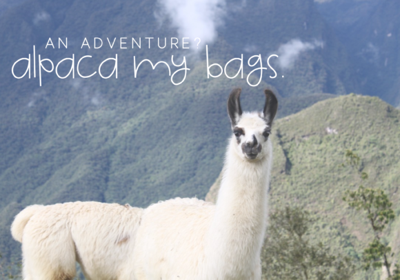 Alpaca Font - Preview 3
