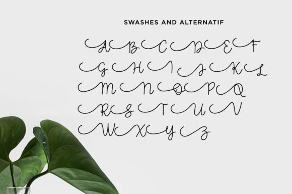 Amanda Font - Preview 4
