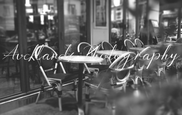 Aucklands Script Font - Preview 2
