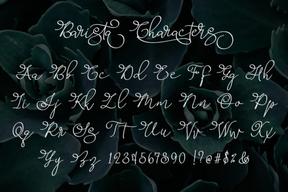Barista Script Font - Preview 3