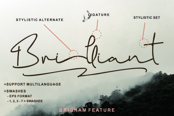 Brigham Script Font - Preview 4