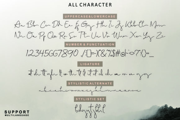 Brigham Script Font - Preview 5