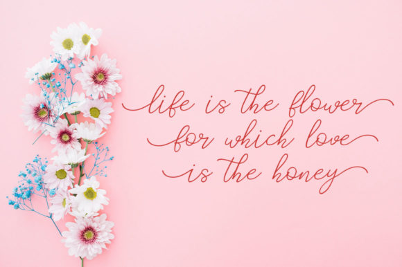 Catherine Font - Preview 4