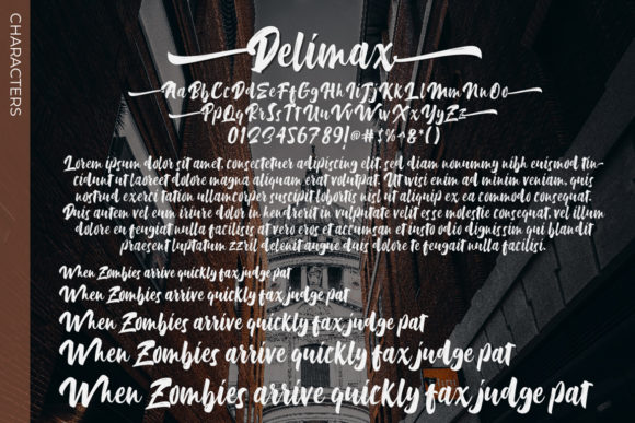 Delimax Font - Preview 5