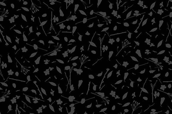 Design of Leaves, Branches and Flowers. Graphic Patterns By Milaski