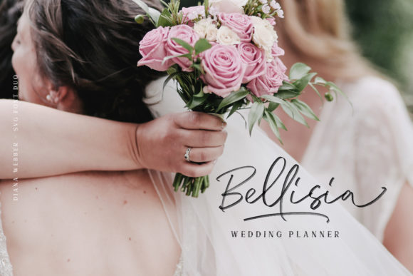 Diana Webber Family Font PNG with transparent background - Preview 6