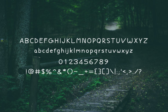 Felicitous Way Font - Preview 3