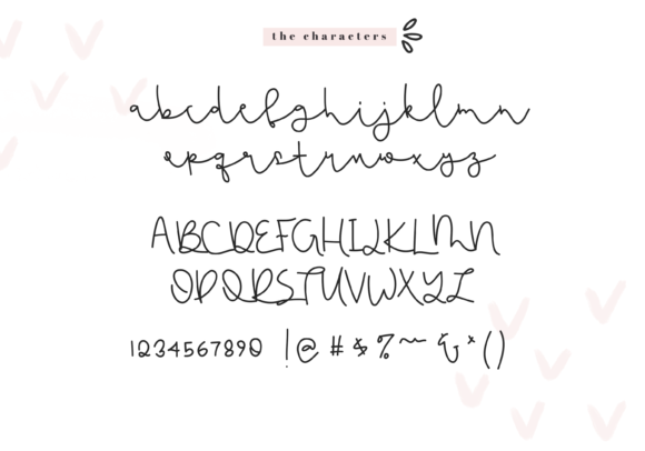 Flamingo Font - Preview 6