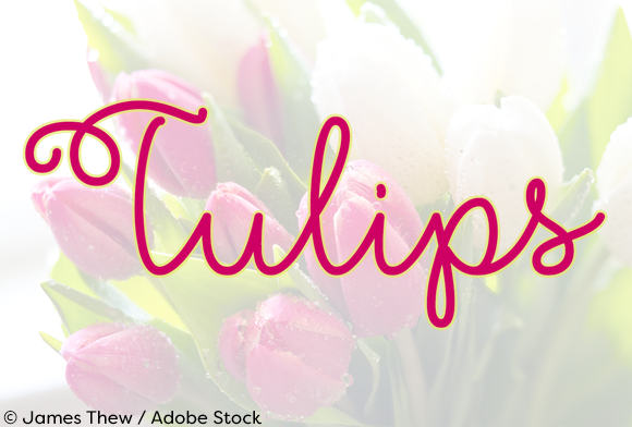 Flower Shop Font - Preview 1