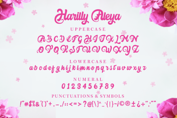 Harilly Aleya Font PNG with transparent background - Preview 3