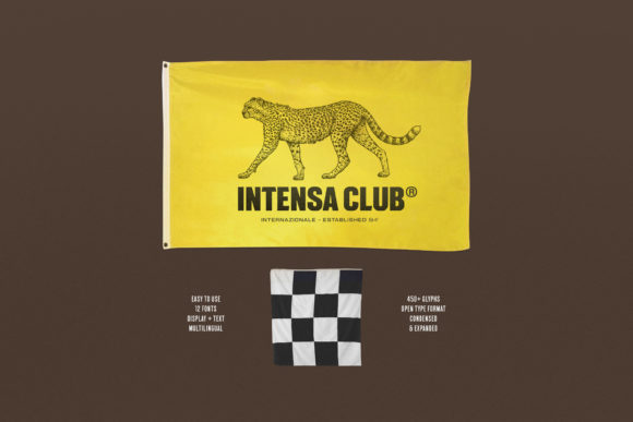 Intensa Family Font font preview - 1
