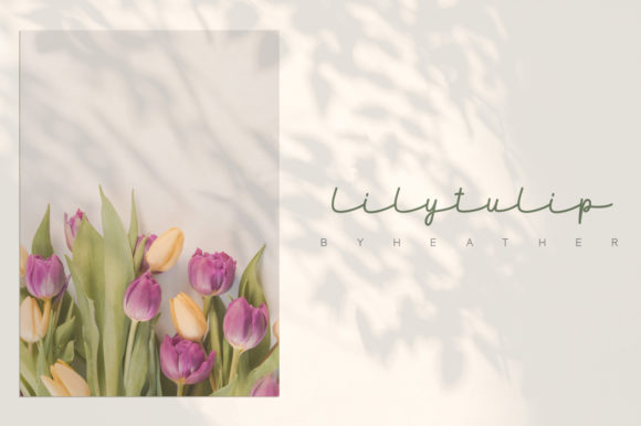 Maidenhair Font PNG with transparent background - Preview 6