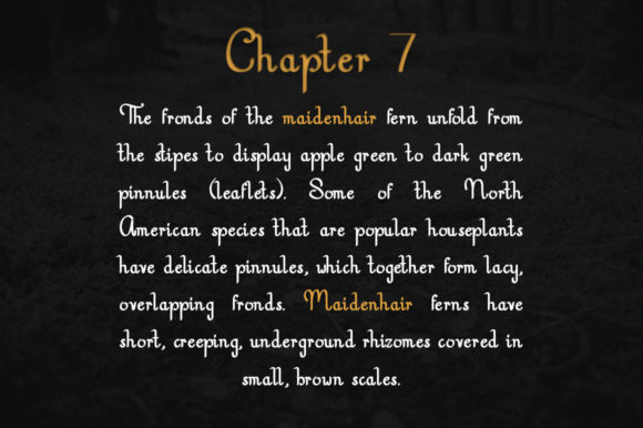 Nottingshire Font PNG with transparent background - Preview 4