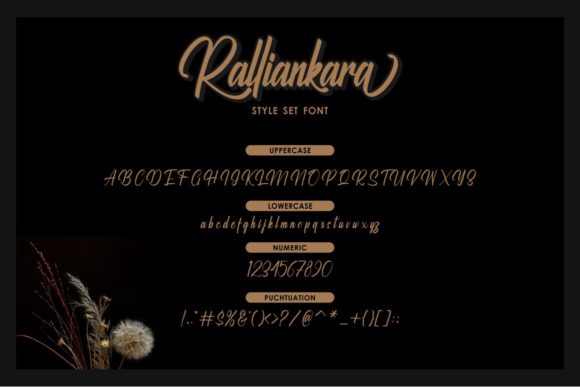 Ralliankara Font PNG with transparent background - Preview 5