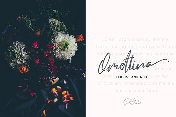 Salittura Font PNG with transparent background - Preview 3
