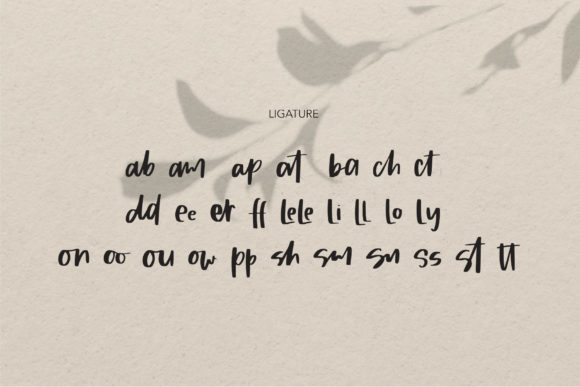 Sandra Type Font PNG with transparent background - Preview 6
