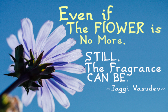 Singgalang Font PNG with transparent background - Preview 2