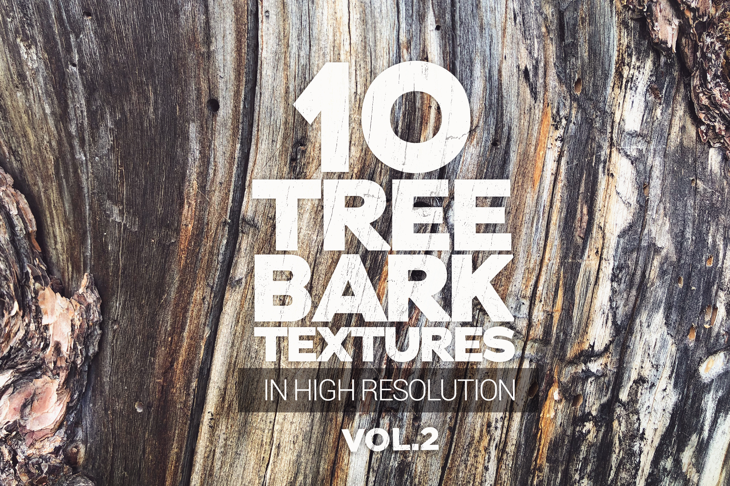 Tree Bark Textures X10 Vol2 Graphic by SmartDesigns · Creative Fabrica