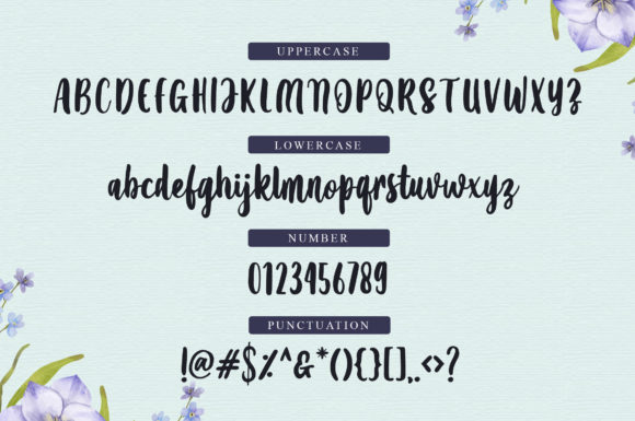 Amanise Font - Preview 1