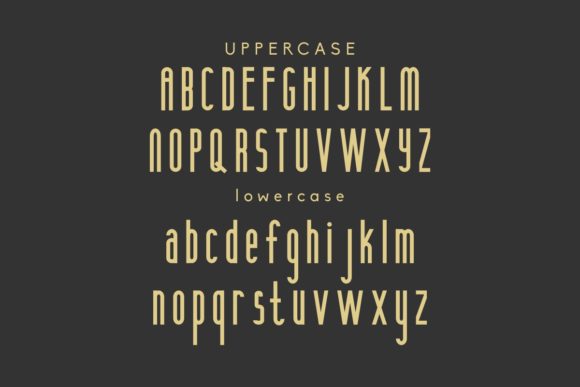 Anamelia Font - Preview 2