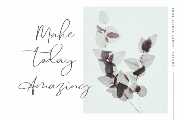 Audrey Font - Preview 3