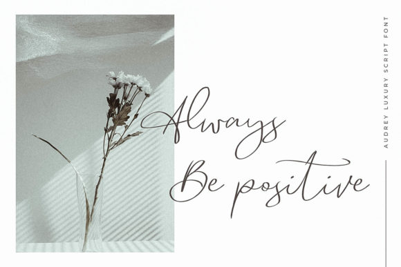 Audrey Font - Preview 5