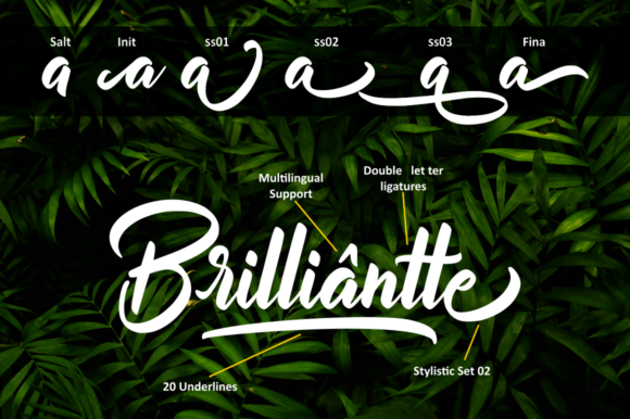 Billionthine Script Font - Preview 1