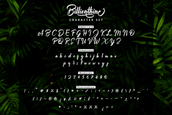 Billionthine Script Font - Preview 2