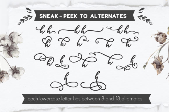 Biosha Font - Preview 3