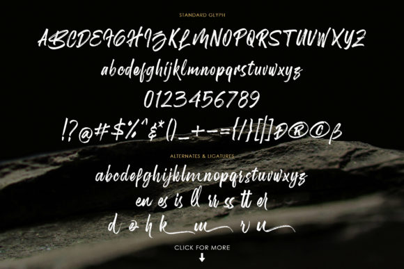 Birdrockers Font - Preview 2