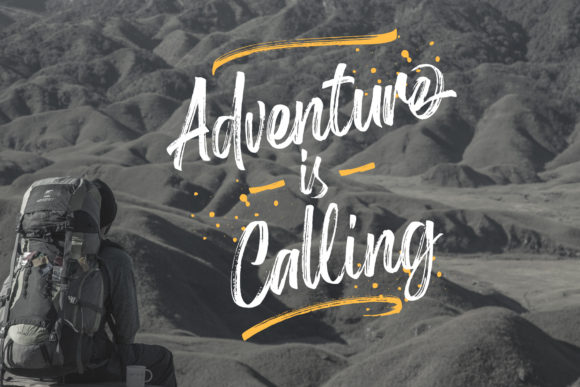 Birdrockers Font - Preview 3