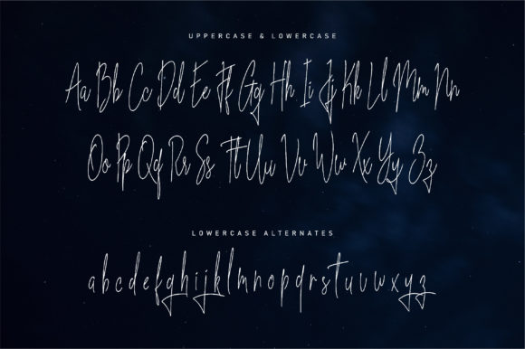 Blue Indigo Font - Preview 4