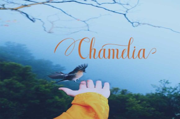 Bluebird Font - Preview 1