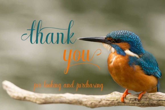 Bluebird Font - Preview 4