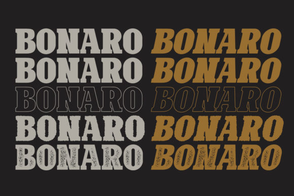 Bonaro Family Font - Preview 4