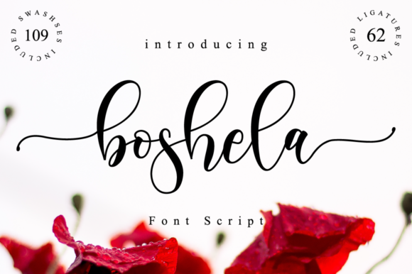 Boshela Script Font Scritti a Mano Font Di NissaStudio