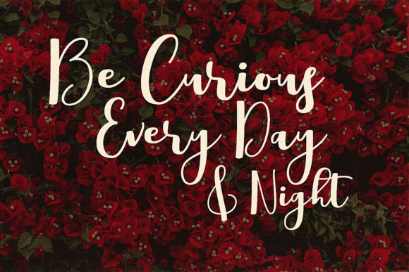 Boulevard Font - Preview 4