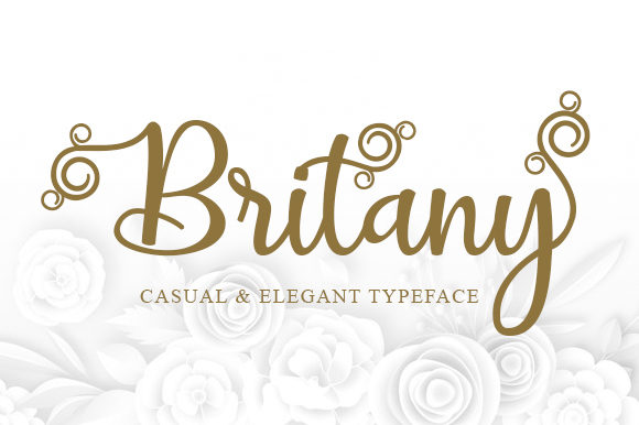 Britany Script Font - Preview 1