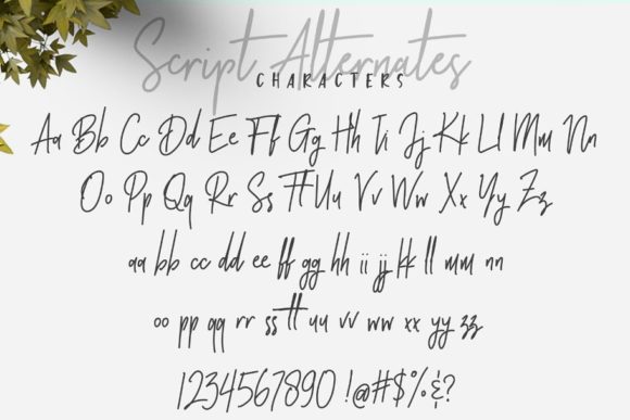 Brotherhood Duo Font - Preview 6