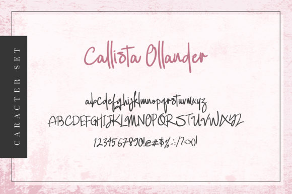Callista Ollander Font - Preview 5