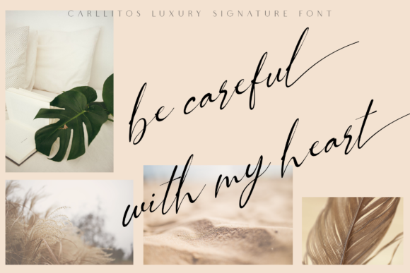 Carllitos Font - Preview 2